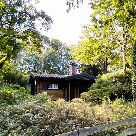 Сasa de vacaciones Kuscheliges Waldhaus Kaminknistern Oldendorf (Stade)