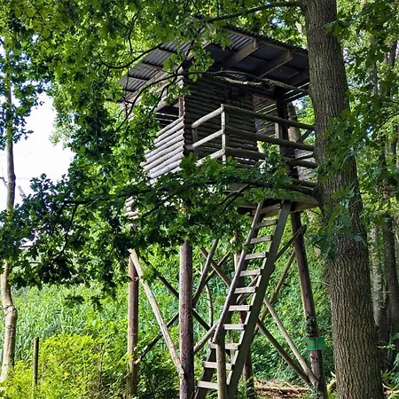 Сasa de vacaciones Kuscheliges Waldhaus Kaminknistern Oldendorf (Stade)