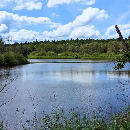 Kuscheliges Waldhaus Kaminknistern Сasa de vacaciones