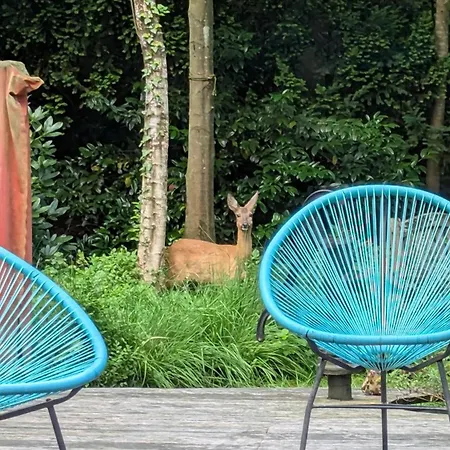 Kuscheliges Waldhaus Kaminknistern Сasa de vacaciones *