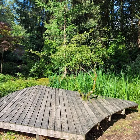 Kuscheliges Waldhaus Kaminknistern *